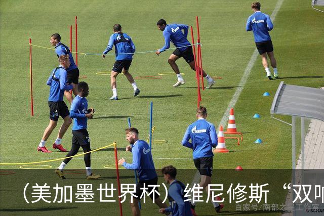 （美加墨世界杯）维尼修斯“双响”助巴西头名晋级 摩洛哥4：2胜海地